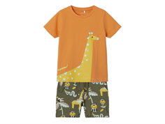 Name It dusty olive giraffe shorts/t-shirt set